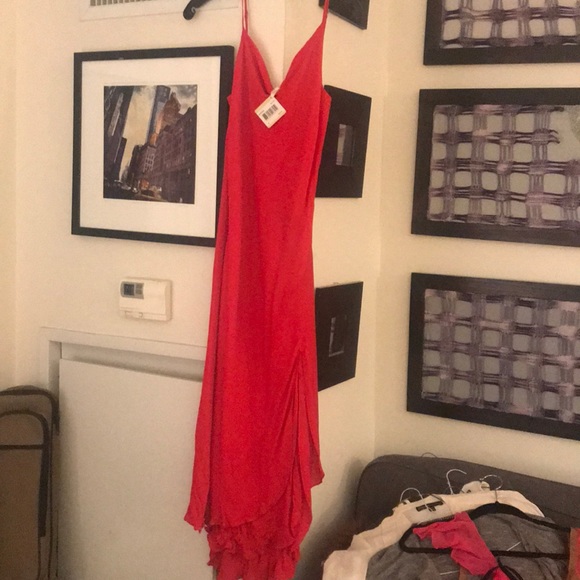 Haute Hippie Dresses & Skirts - Haute hippie NWT slip dress - cherry colour, NWT